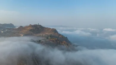 ضباب الطائف