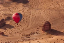 مهرجان البحر الأحمر