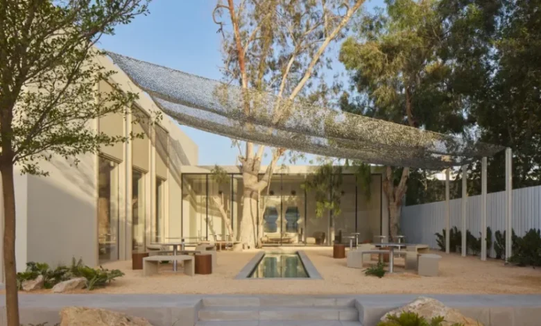 ذا ميلد كونسبت