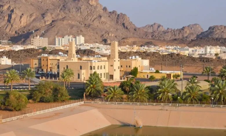 منطقة دول مجلس التعاون الخليجي