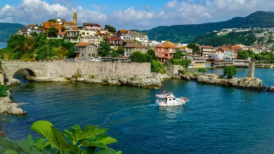 ساحل البحر الأسود