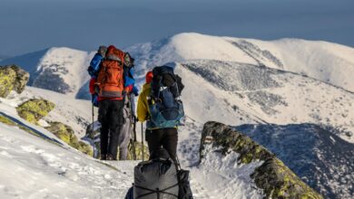 السفر الشتوي