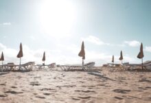 فويرتيفنتورا جزيرة صغيرة محمية، بعيدة عن الزحام