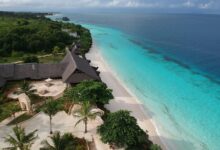 زنجبار تمتاز بطبيعة خلابة