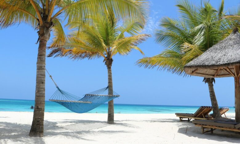 لقطة لأحد شواطئ زنجبار