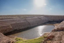 بركة العشار