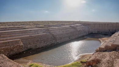 بركة العشار