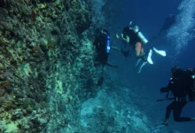 الغوص في جازان