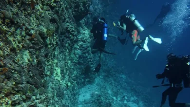 الغوص في جازان