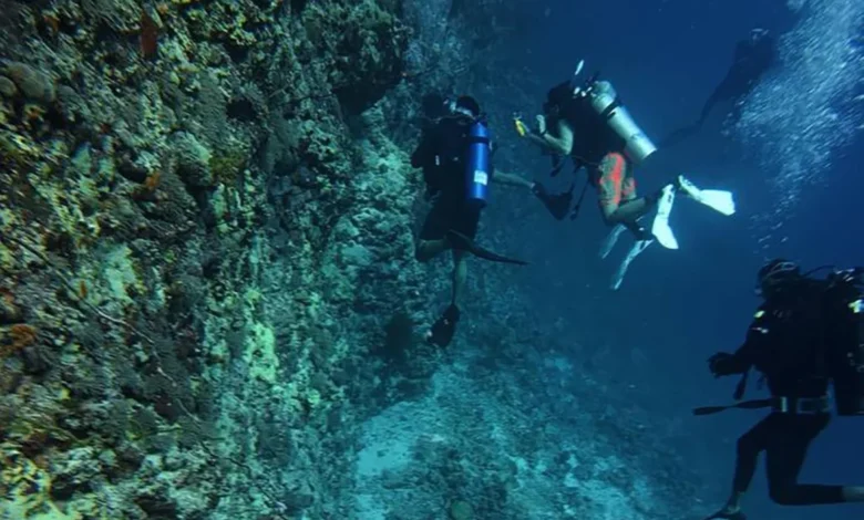 الغوص في جازان