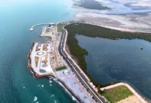 جزيرة المرجان