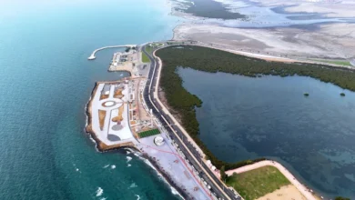 جزيرة المرجان