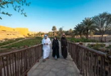 ممشاك في عزّك وملفاك