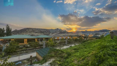 مزارع الباحة