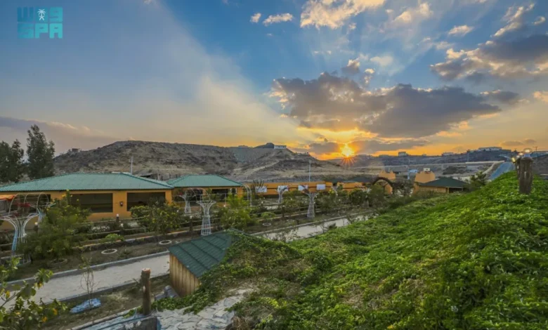 مزارع الباحة