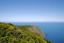 جزيرة كابيتي هي أقدم محمية طبيعية في نيوزيلندا