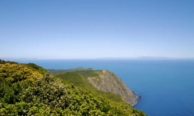 جزيرة كابيتي هي أقدم محمية طبيعية في نيوزيلندا