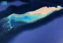 جزيرة النعمان