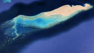 جزيرة النعمان