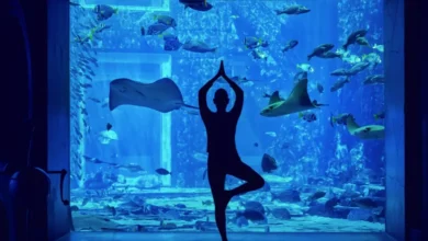 أتلانتس دبي