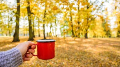 السفر في فصل الخريف