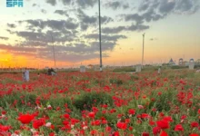 متنزّه ربيع الصداوي