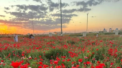 متنزّه ربيع الصداوي