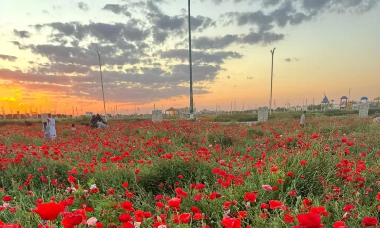 متنزّه ربيع الصداوي