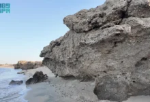 شاطئ الشعيبة