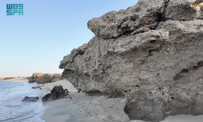 شاطئ الشعيبة