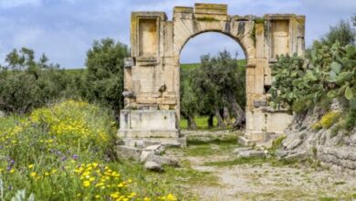 مدينة دقة التونسيّة