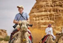 السياح في المملكة