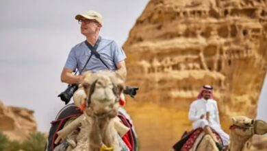 السياح في المملكة