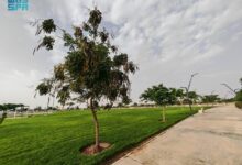 حديقة الأمير تركي